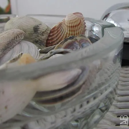 Ξενοδοχείο Continental 3*