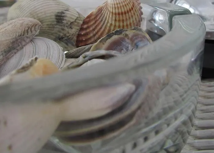 Hotel Continental 3*